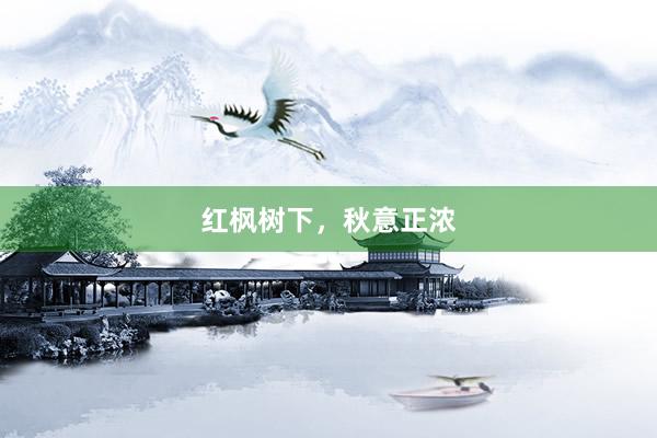 红枫树下，秋意正浓